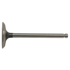 17-190 Intake Valve