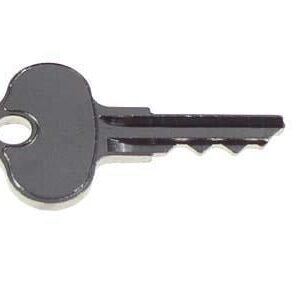 8202